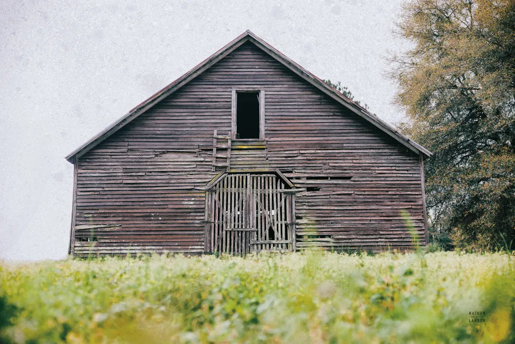Peanut Farm by Nathan Larson. SKU 98024i. Archival Giclee Fine art print for wall decor.