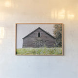 Peanut Farm by Nathan Larson. shown as a paper print in a natural frame. Available as a archival giclee rolled canvas, fine art paper, or poster print. SKU 98024i.