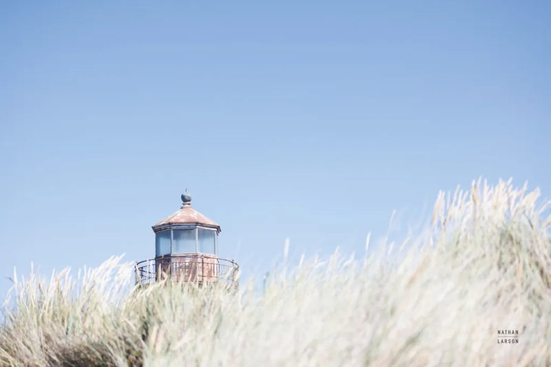 Peering Over by Nathan Larson. SKU 87191i. Archival Giclee Fine art print for wall decor.
