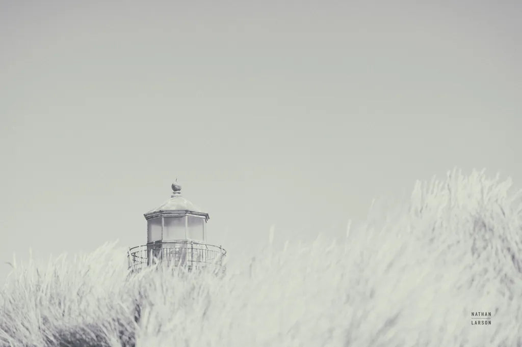 Peering Over BW by Nathan Larson. SKU 87192i. Archival Giclee Fine art print for wall decor.