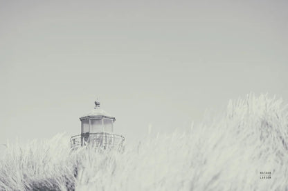 Peering Over BW by Nathan Larson. SKU 87192i. Archival Giclee Fine art print for wall decor.