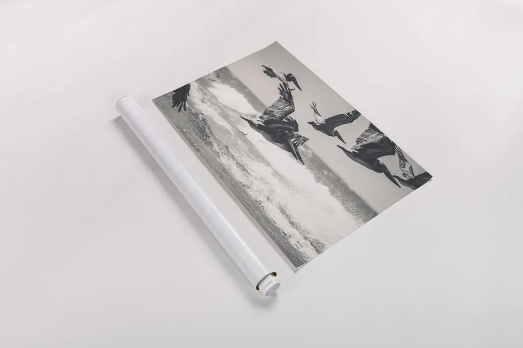 Pelican Beach by Nathan Larson. shown as a rolled paper print. Available as archival giclee rolled canvas, fine art paper, or poster print. SKU 90480i.