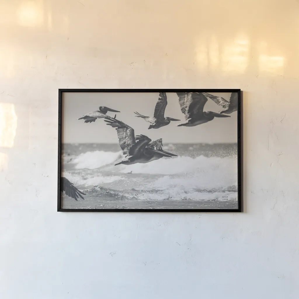 Pelican Beach by Nathan Larson. shown as a paper print in a black flame. Available as a archival giclee rolled canvas, fine art paper, or poster print. SKU 90480i.