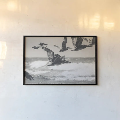 Pelican Beach by Nathan Larson. shown as a paper print in a black flame. Available as a archival giclee rolled canvas, fine art paper, or poster print. SKU 90480i.