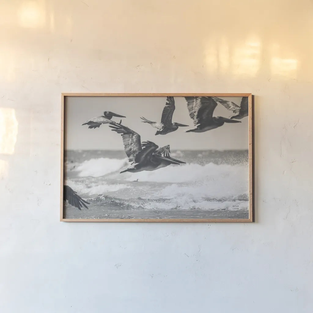 Pelican Beach by Nathan Larson. shown as a paper print in a natural frame. Available as a archival giclee rolled canvas, fine art paper, or poster print. SKU 90480i.