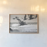 Pelican Beach by Nathan Larson. shown as a paper print in a natural frame. Available as a archival giclee rolled canvas, fine art paper, or poster print. SKU 90480i.