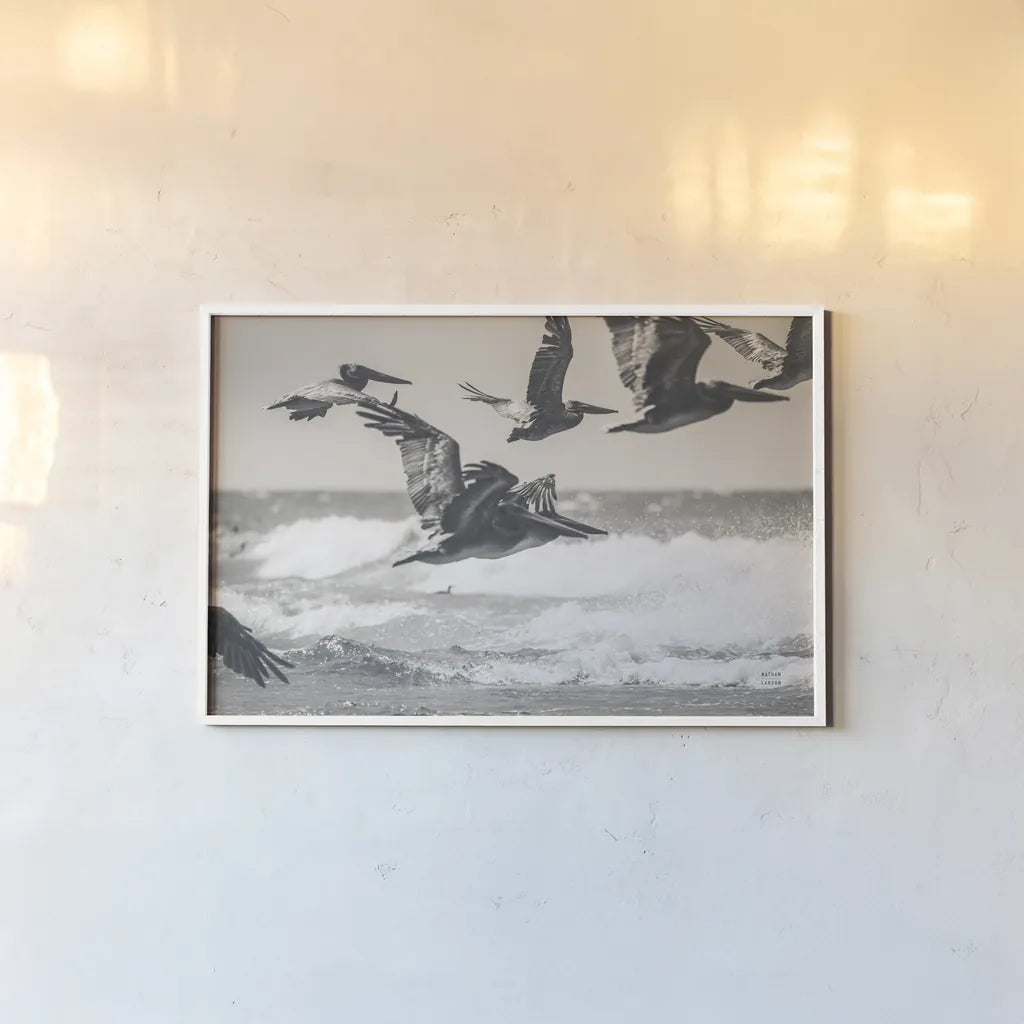 Pelican Beach by Nathan Larson. shown as a paper print in a white frame. Available as a archival giclee rolled canvas, fine art paper, or poster print. SKU 90480i.