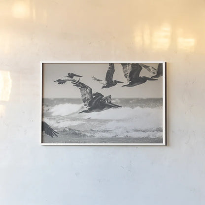 Pelican Beach by Nathan Larson. shown as a paper print in a white frame. Available as a archival giclee rolled canvas, fine art paper, or poster print. SKU 90480i.