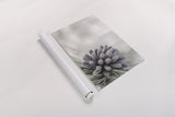 Pine Cone Begins by Nathan Larson. shown as a rolled paper print. Available as archival giclee rolled canvas, fine art paper, or poster print. SKU 97890i.