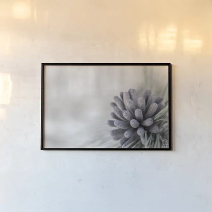 Pine Cone Begins by Nathan Larson. shown as a paper print in a black flame. Available as a archival giclee rolled canvas, fine art paper, or poster print. SKU 97890i.