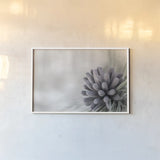Pine Cone Begins by Nathan Larson. shown as a paper print in a white frame. Available as a archival giclee rolled canvas, fine art paper, or poster print. SKU 97890i.