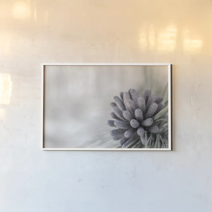Pine Cone Begins by Nathan Larson. shown as a paper print in a white frame. Available as a archival giclee rolled canvas, fine art paper, or poster print. SKU 97890i.