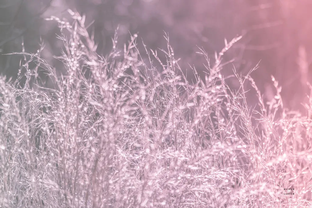 Pink Morning I by Nathan Larson. SKU 98719i. Archival Giclee Fine art print for wall decor.