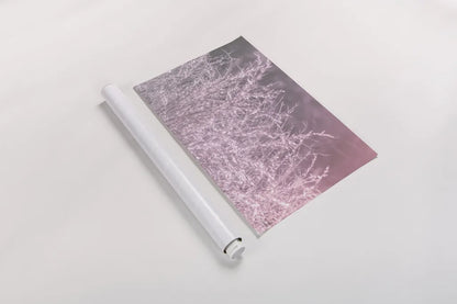 Pink Morning I by Nathan Larson. shown as a rolled paper print. Available as archival giclee rolled canvas, fine art paper, or poster print. SKU 98719i.