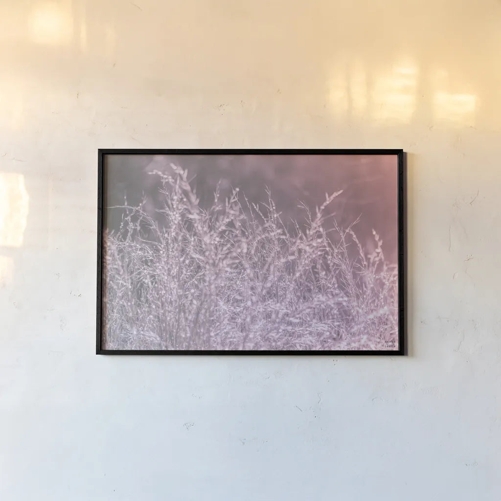 Pink Morning I by Nathan Larson. shown as a paper print in a black flame. Available as a archival giclee rolled canvas, fine art paper, or poster print. SKU 98719i.