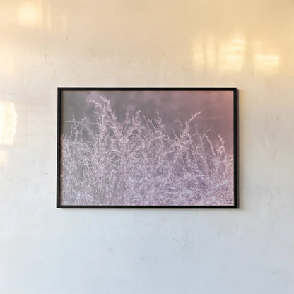 Pink Morning I by Nathan Larson. shown as a paper print in a black flame. Available as a archival giclee rolled canvas, fine art paper, or poster print. SKU 98719i.