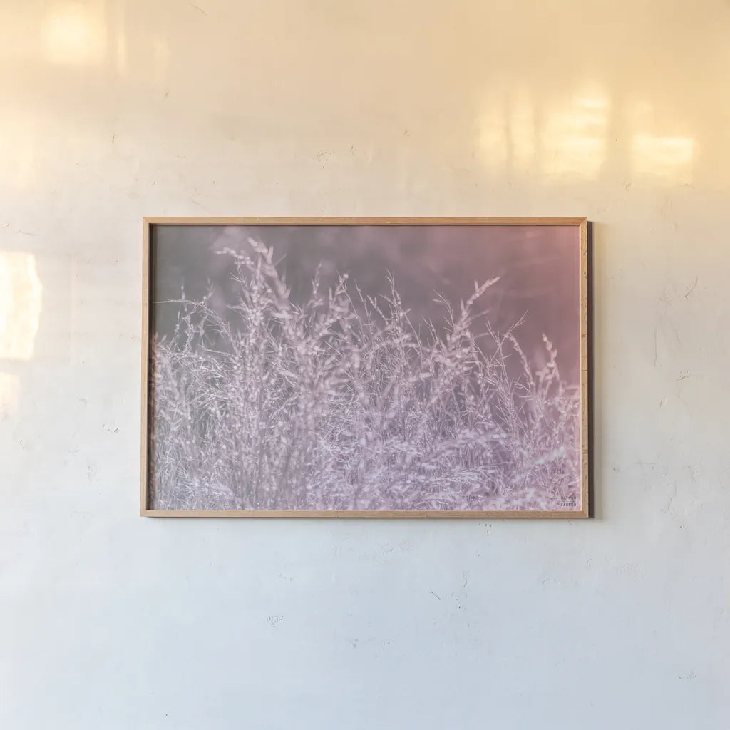 Pink Morning I by Nathan Larson. shown as a paper print in a natural frame. Available as a archival giclee rolled canvas, fine art paper, or poster print. SKU 98719i.