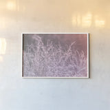 Pink Morning I by Nathan Larson. shown as a paper print in a white frame. Available as a archival giclee rolled canvas, fine art paper, or poster print. SKU 98719i.