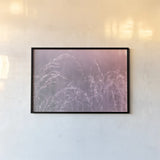 Pink Morning II by Nathan Larson. shown as a paper print in a black flame. Available as a archival giclee rolled canvas, fine art paper, or poster print. SKU 98720i.