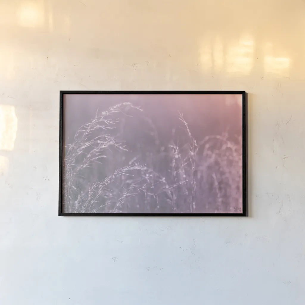 Pink Morning II by Nathan Larson. shown as a paper print in a black flame. Available as a archival giclee rolled canvas, fine art paper, or poster print. SKU 98720i.