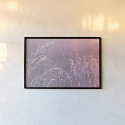 Pink Morning II by Nathan Larson. shown as a paper print in a black flame. Available as a archival giclee rolled canvas, fine art paper, or poster print. SKU 98720i.
