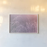 Pink Morning II by Nathan Larson. shown as a paper print in a white frame. Available as a archival giclee rolled canvas, fine art paper, or poster print. SKU 98720i.