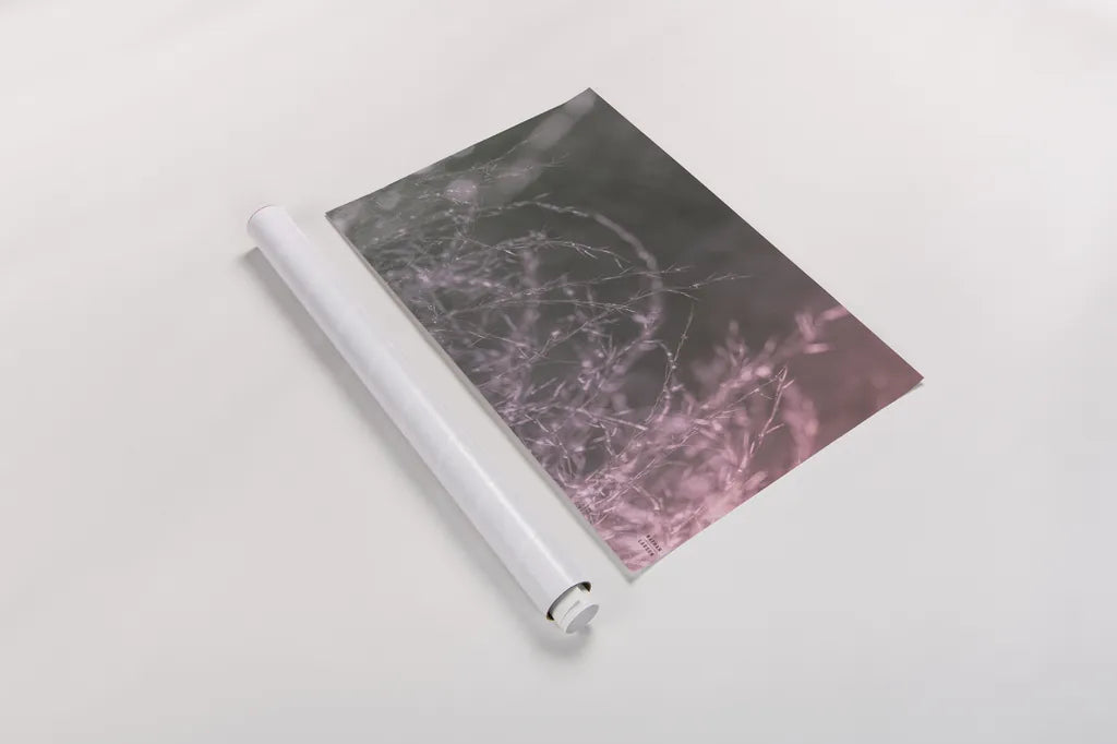 Pink Morning III by Nathan Larson. shown as a rolled paper print. Available as archival giclee rolled canvas, fine art paper, or poster print. SKU 98721i.