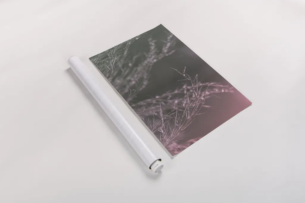 Pink Morning IV by Nathan Larson. shown as a rolled paper print. Available as archival giclee rolled canvas, fine art paper, or poster print. SKU 98722i.