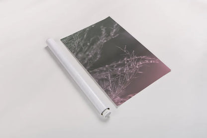 Pink Morning IV by Nathan Larson. shown as a rolled paper print. Available as archival giclee rolled canvas, fine art paper, or poster print. SKU 98722i.