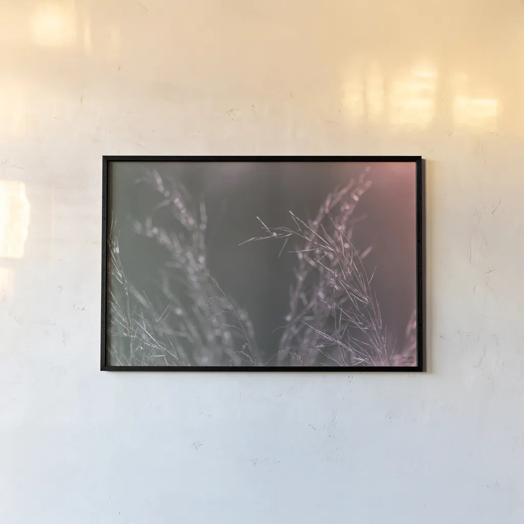 Pink Morning IV by Nathan Larson. shown as a paper print in a black flame. Available as a archival giclee rolled canvas, fine art paper, or poster print. SKU 98722i.