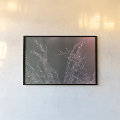 Pink Morning IV by Nathan Larson. shown as a paper print in a black flame. Available as a archival giclee rolled canvas, fine art paper, or poster print. SKU 98722i.