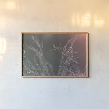 Pink Morning IV by Nathan Larson. shown as a paper print in a natural frame. Available as a archival giclee rolled canvas, fine art paper, or poster print. SKU 98722i.