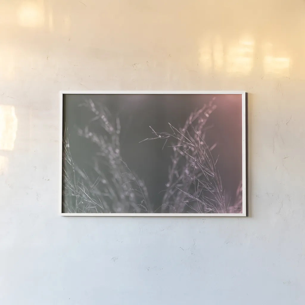 Pink Morning IV by Nathan Larson. shown as a paper print in a white frame. Available as a archival giclee rolled canvas, fine art paper, or poster print. SKU 98722i.