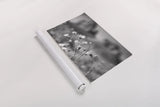 Pinnacle by Nathan Larson. shown as a rolled paper print. Available as archival giclee rolled canvas, fine art paper, or poster print. SKU 88885i.