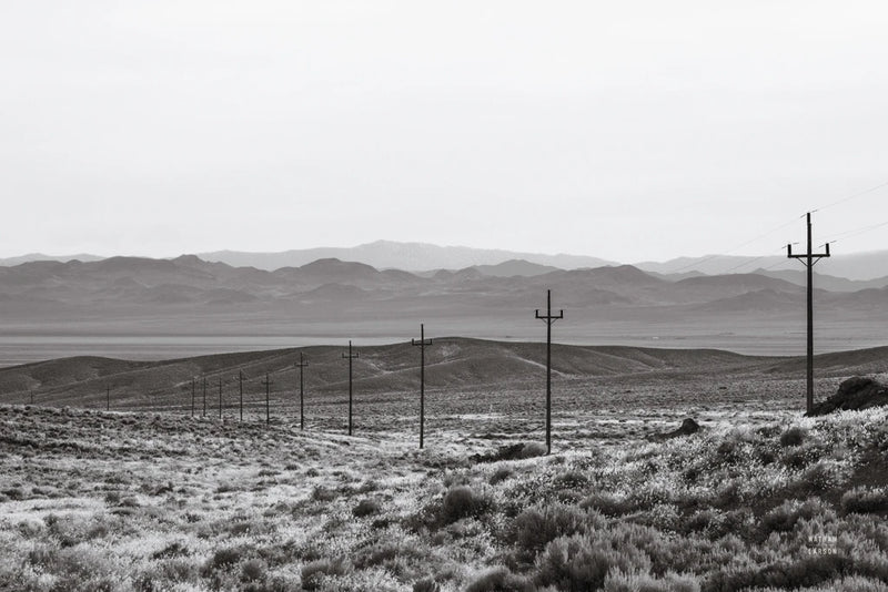 Power Line Pull BW by Nathan Larson