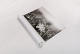 Prairie Nap by Nathan Larson. shown as a rolled paper print. Available as archival giclee rolled canvas, fine art paper, or poster print. SKU 103386i.