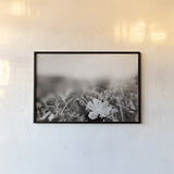 Prairie Nap by Nathan Larson. shown as a paper print in a black flame. Available as a archival giclee rolled canvas, fine art paper, or poster print. SKU 103386i.