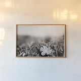 Prairie Nap by Nathan Larson. shown as a paper print in a natural frame. Available as a archival giclee rolled canvas, fine art paper, or poster print. SKU 103386i.