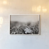 Prairie Nap by Nathan Larson. shown as a paper print in a white frame. Available as a archival giclee rolled canvas, fine art paper, or poster print. SKU 103386i.