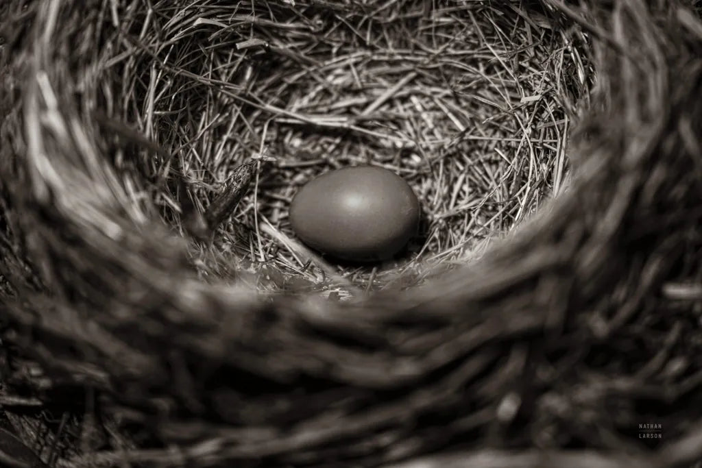 Preparing I by Nathan Larson. SKU 99781i. Archival Giclee Fine art print for wall decor.