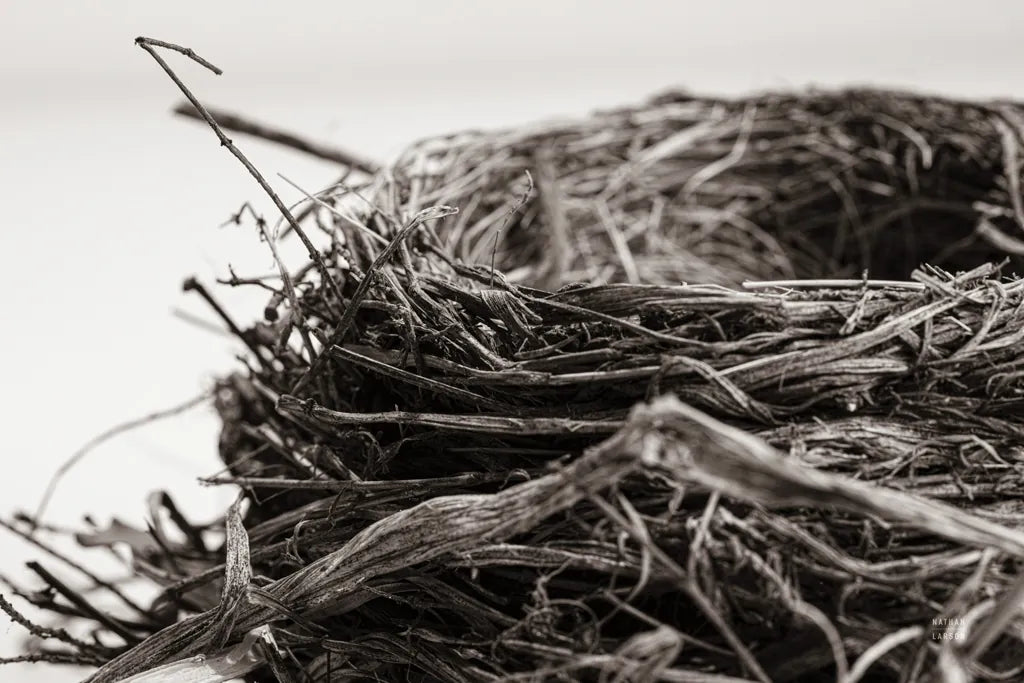 Preparing II by Nathan Larson. SKU 99782i. Archival Giclee Fine art print for wall decor.