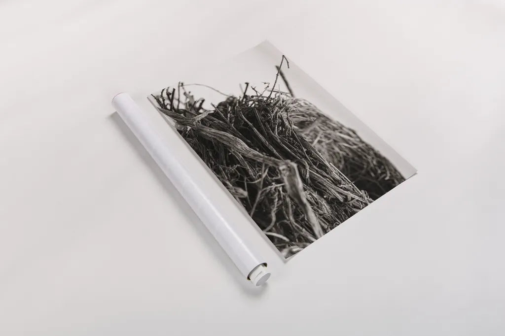 Preparing II by Nathan Larson. shown as a rolled paper print. Available as archival giclee rolled canvas, fine art paper, or poster print. SKU 99782i.