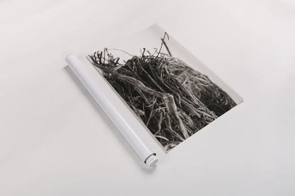 Preparing II by Nathan Larson. shown as a rolled paper print. Available as archival giclee rolled canvas, fine art paper, or poster print. SKU 99782i.