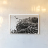 Preparing II by Nathan Larson. shown as a paper print in a white frame. Available as a archival giclee rolled canvas, fine art paper, or poster print. SKU 99782i.