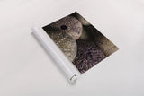 Purple Sea Urchins by Nathan Larson. shown as a rolled paper print. Available as archival giclee rolled canvas, fine art paper, or poster print. SKU 96957i.