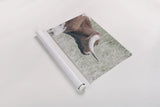 Raining Bull by Nathan Larson. shown as a rolled paper print. Available as archival giclee rolled canvas, fine art paper, or poster print. SKU 99207i.