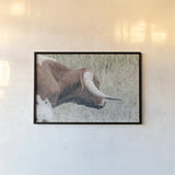 Raining Bull by Nathan Larson. shown as a paper print in a black flame. Available as a archival giclee rolled canvas, fine art paper, or poster print. SKU 99207i.