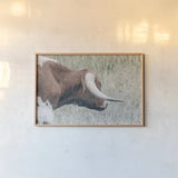 Raining Bull by Nathan Larson. shown as a paper print in a natural frame. Available as a archival giclee rolled canvas, fine art paper, or poster print. SKU 99207i.
