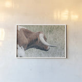 Raining Bull by Nathan Larson. shown as a paper print in a white frame. Available as a archival giclee rolled canvas, fine art paper, or poster print. SKU 99207i.