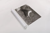 Raining Bull BW by Nathan Larson. shown as a rolled paper print. Available as archival giclee rolled canvas, fine art paper, or poster print. SKU 99206i.
